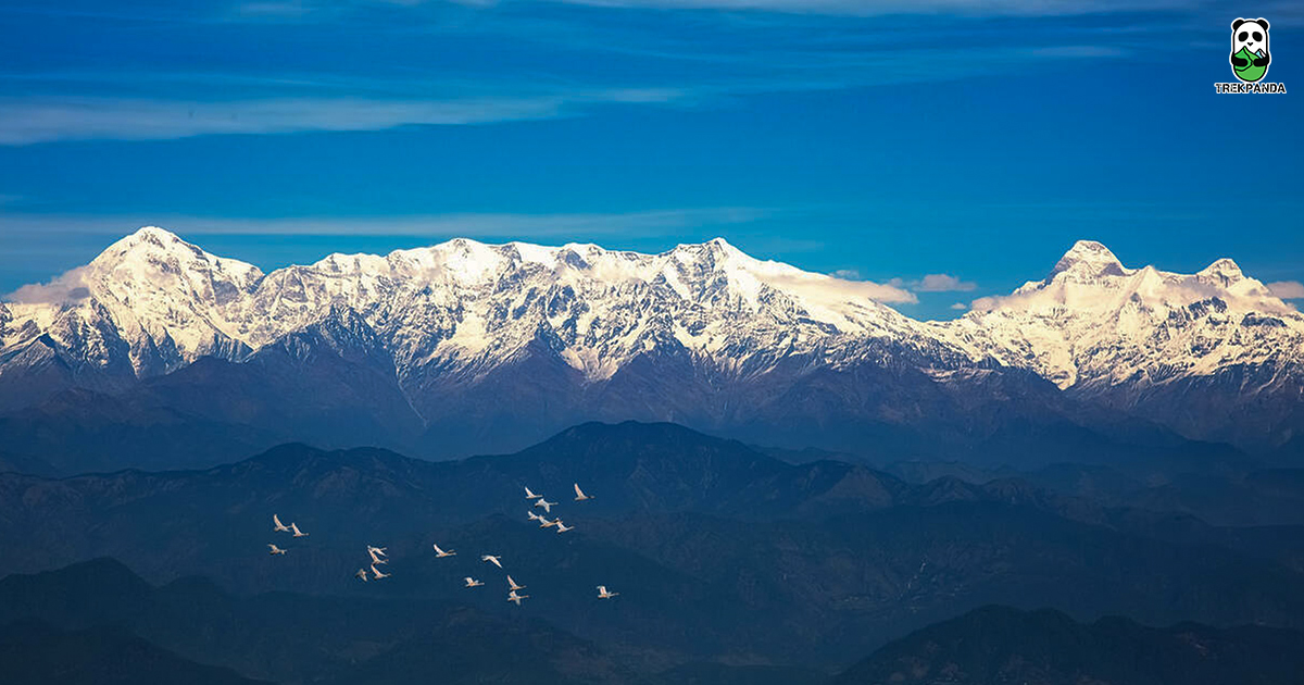 Zero Point Binsar